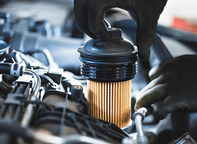 Введение компании